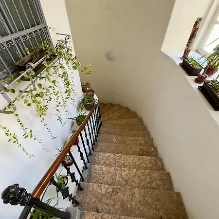 Center B&B